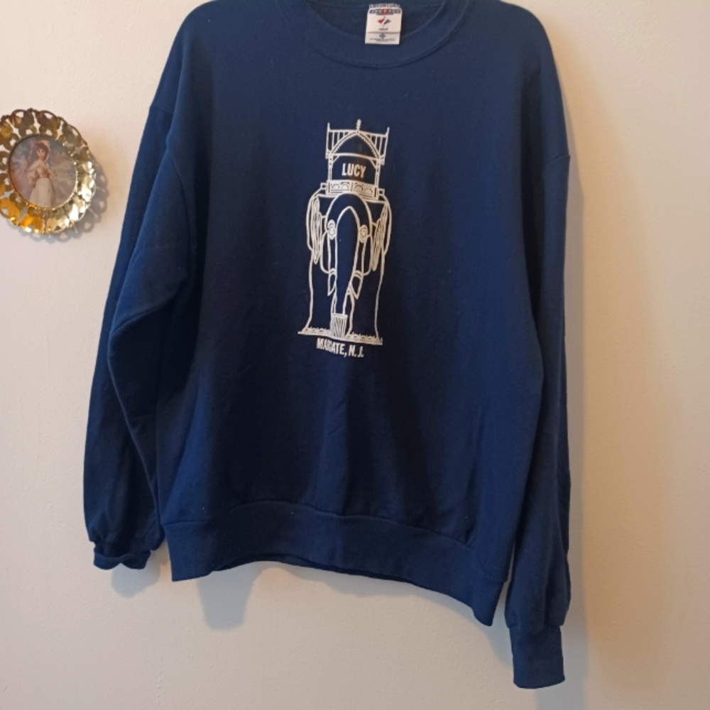 Men jerzees sweat shirt.